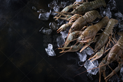 生食,小龙虾,组物体,清新,水平画幅,捕捞鱼,海产,人群,特写,活力