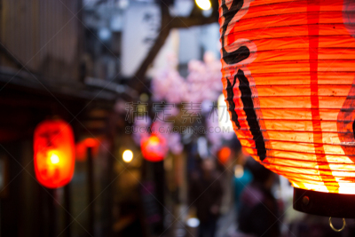 日本灯笼,新宿区,日本,美食街,日本假名,日语,水平画幅,交通堵塞,樱花,无人