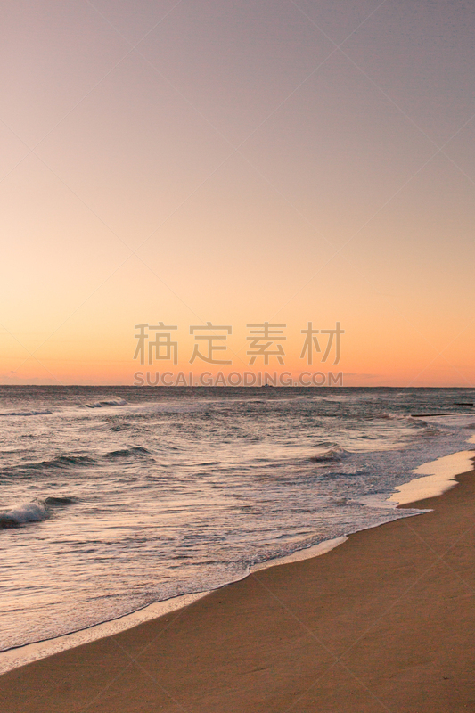 正面视角,棕榈沙滩镇,冷,垂直画幅,天空,风,沙子,光,棕榈树,明亮