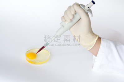 动物,再结合,人工授精,胚胎,妇科专家,转基因,吸液管,水平画幅,精子,科学实验