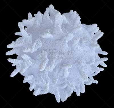 白细胞,水平画幅,形状,无人,绘画插图,有机食品,科学,生物学,黑色