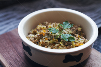 自制的,宠物,狗,蔬菜,猫食,肉末,狗食,碗,胡瓜,胡萝卜