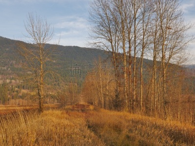 风景,地形,灵感,加拿大,自然美,春天,雷夫尔斯托克,户外,自然,季节