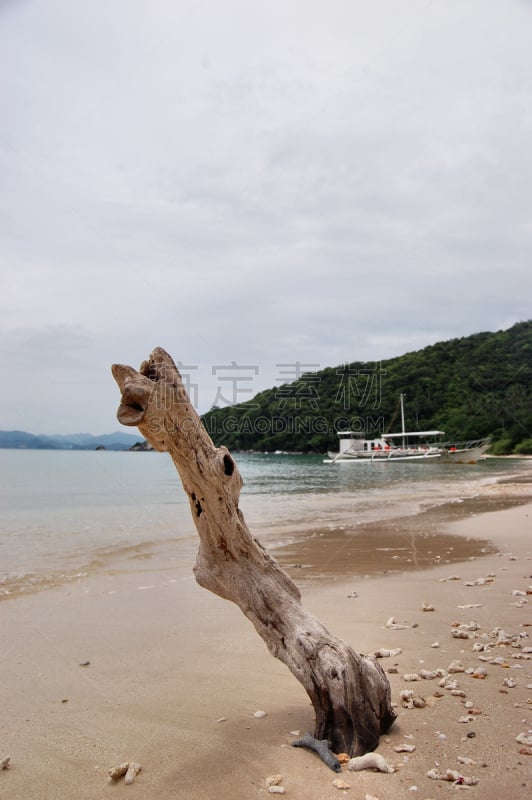 浮木,垂直画幅,天空,沙子,贝壳,无人,菲律宾,巴拉望,客轮,户外