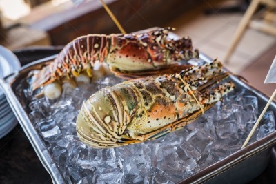 墨西哥,龙虾,格子烤肉,清新,烤的,食品,烤肉架,烤肉餐,餐馆,肉