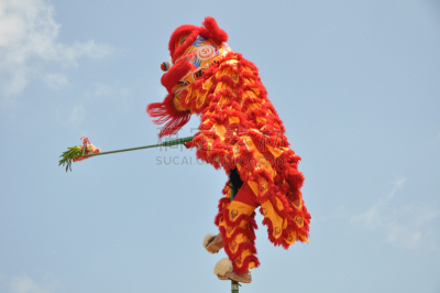狮王,狮子舞蹈,演出服,水平画幅,高处,运动,中国南部,健康生活方式,狮子,幸福