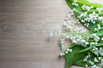 铃兰,五月花号船,五月,春天,植物,背景,铃,木制,山谷,百合花