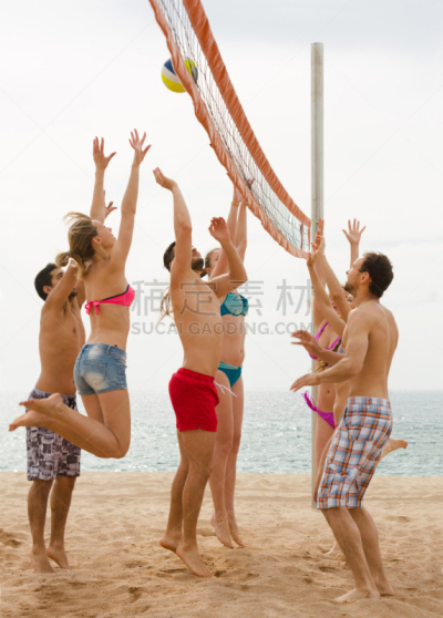 球,网,成年的,在上面,自然,垂直画幅,野餐,衣服,人,夏天