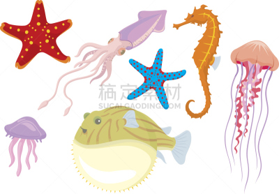 海洋生命,活力,动物主题,鱿鱼,背景分离,复杂,图像,海洋,水母,组物体
