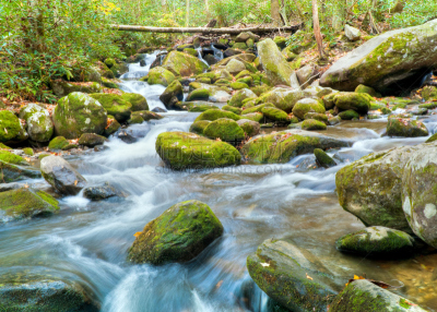 river roaring fork,格托林伯格,田纳西,瀑布,美国,小河,阿巴拉契亚山脉,水,水平画幅