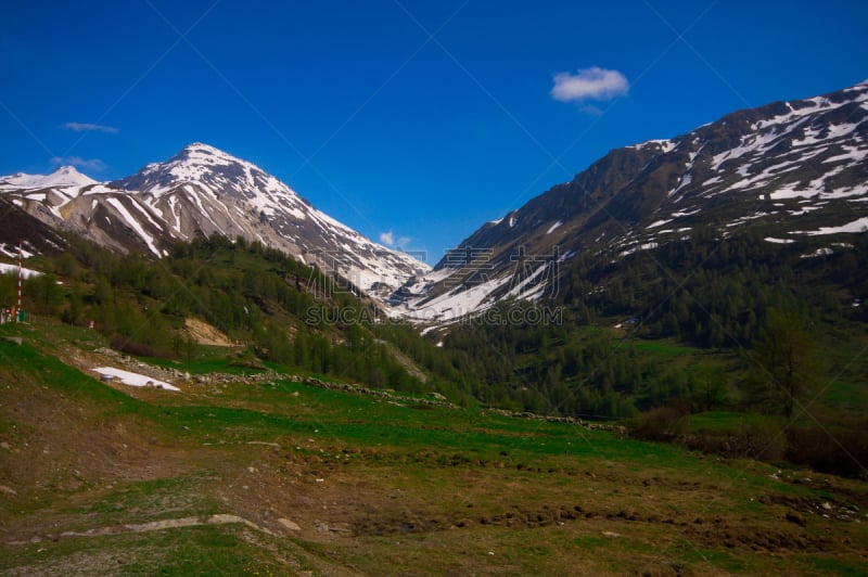 夏天,阿尔卑斯山脉,地形,瓦尔迪卡斯,卡纳泽伊,马尔莫拉达峰,上阿迪杰,水平画幅,雪,无人