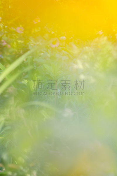 运动模糊,背景,抽象,绿色,背景虚化,垂直画幅,枝繁叶茂,早晨,夏天,明亮