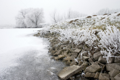 冬天,冷,水,草原,水平画幅,雪,无人,户外,湖,植物