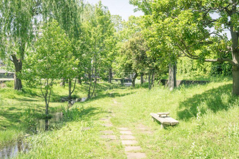 长椅,风景,留白,水平画幅,绿色,无人,五月,日本,户外,城市