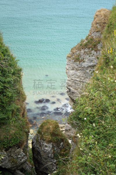 岛,自然,卡里克索桥,垂直画幅,图像,海洋,英国,无人,海岸线,田地