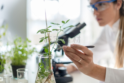 生物学家,植物群,显微镜,化学家,科学实验,生物化学,实验室,仅成年人,知识,青年人