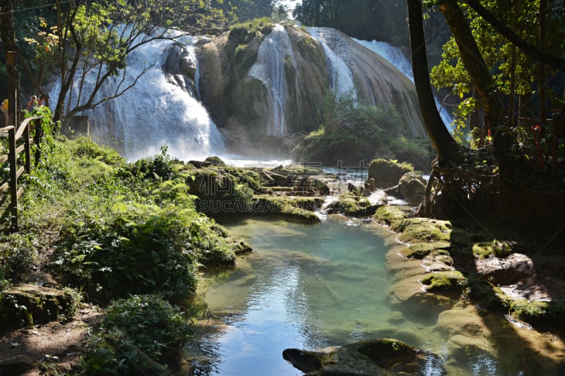 agua azul cascades,尤卡坦州,墨西哥,半岛,自然,水平画幅,地形,瀑布,无人,户外