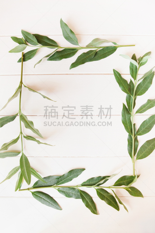 环境,远程工作,自然,图片资料馆,dvd,排列整齐,垂直画幅,留白,计算机制图,计算机图形学