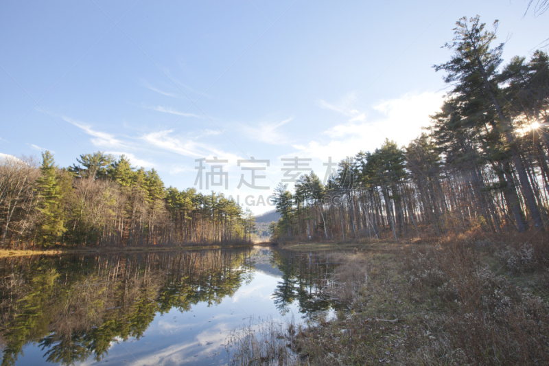 野生植物,皮茨菲尔德,波克谢尔,波克夏山庄,波克夏,马萨诸塞,水,天空,公园,水平画幅