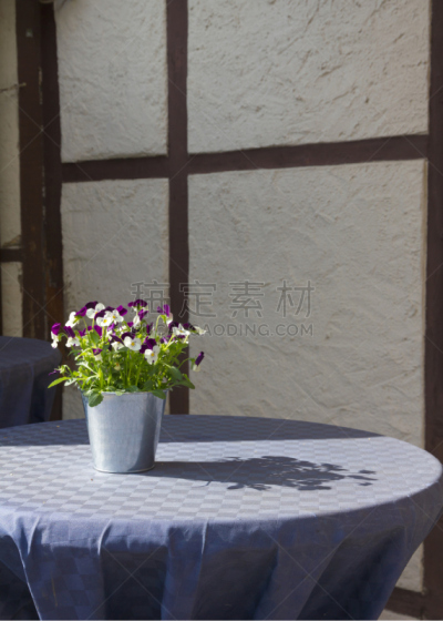 三色紫罗兰,伍茨堡,露天咖啡馆,垂直画幅,无人,夏天,阴影,户外,树荫,花束