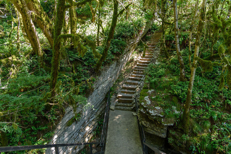 岩石,雨林,楼梯,山谷,野生动物,环境,围墙,草,小路,石头