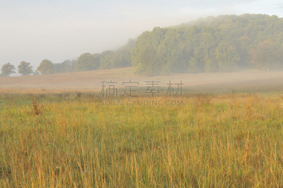 早晨,雾,自然,水平画幅,地形,秋天,无人,户外,草,宾夕法尼亚