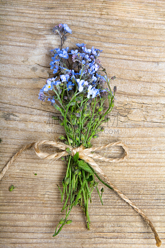 勿忘我 留白 木制 背景 黑色 缎带 高山勿忘草 垂直画幅 美 边框图片素材下载 稿定素材