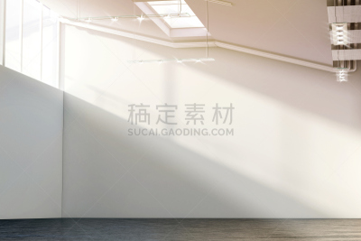 白色,巨大的,墙,空白的,日光,现代,动脉壁,画廊的开幕式,宽的,复式楼