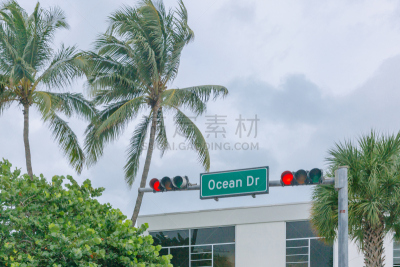 交通,佛罗里达,迈阿密海滩,美国,交通标志,棕榈树,迈阿密,海洋,红松,靠近
