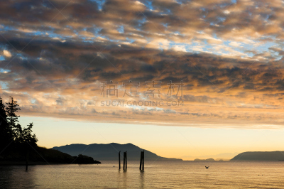 岛,水,天空,水平画幅,夜晚,无人,鸟类,野外动物,美洲,滨水