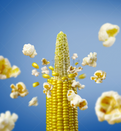 玉米,爆米花,垂直画幅,饮食,黄油,小吃,农作物,植物,黄色,2015年