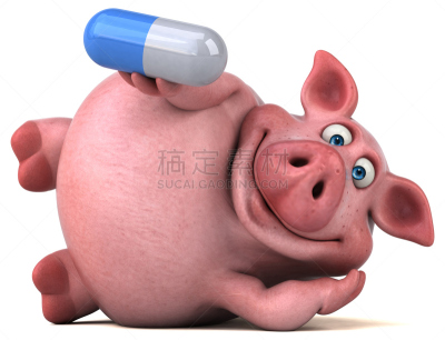 绘画插图,乐趣,猪,家猪,水平画幅,动物,药房,健康保健,粉色,超重