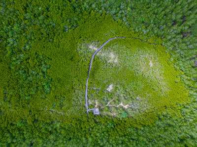 红树林,泰国,航拍视角,巴蜀,红树,航空器拍摄视角,公园,地名,水平画幅,高视角