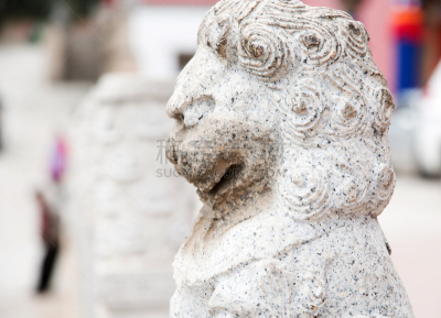 狮子,修道院,生锈的,远古的,塔尔寺,岩石,天空,水平画幅,无人,符号