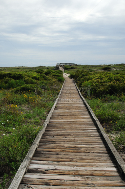 海滩,阿克塞斯,barrier islands,不完全的,自然,垂直画幅,图像,佛罗里达,木板路,无人