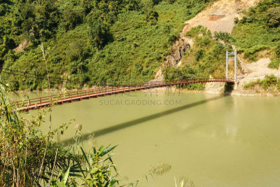 越南,河流,人行桥,在上面,旅途,景观设计,环境保护,步行道路,小路,植物