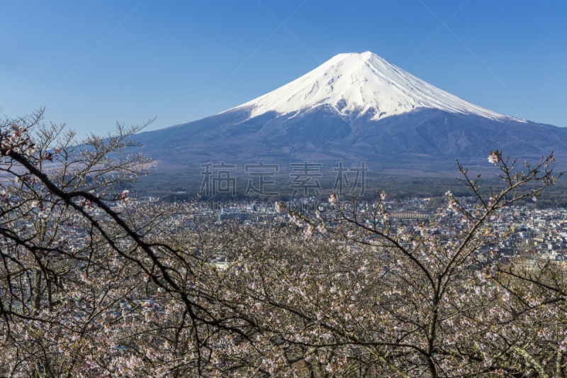 富士山,河口湖,天空,里山,水平画幅,樱花,雪,无人,早晨,户外