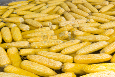 食品,甜玉米,沸腾的,素食节,农业,传统,蔬菜,热,清新,自然界的状态