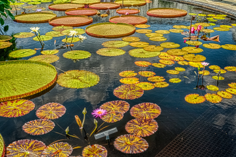 Longwood Gardens