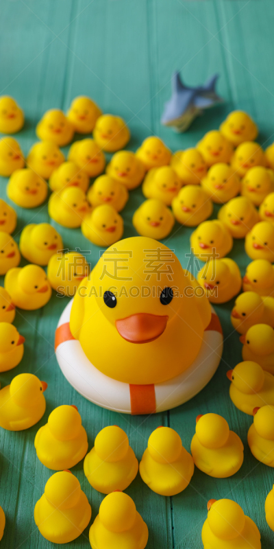 巨大的,鲨鱼,橡皮鸭子,与众不同,安全的,桌子,小的,木制,黄色,安全带