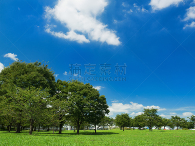 天空,夏天,派克大街,足立区,留白,公园,水平画幅,无人,蓝色,植物