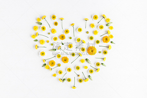 符号,黄色,心型,白色背景,多样,雏菊,甘菊,花蕾,花环,情人节