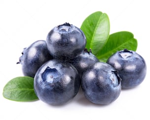 蓝莓,分离着色,水平画幅,素食,水果,无人,成分,浆果,精神振作,美味