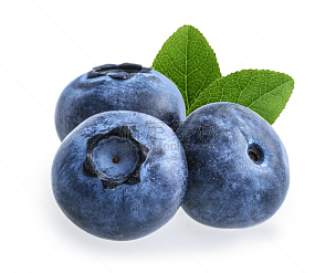 蓝莓,白色背景,分离着色,水平画幅,无人,生食,组物体,越橘,白色,清新