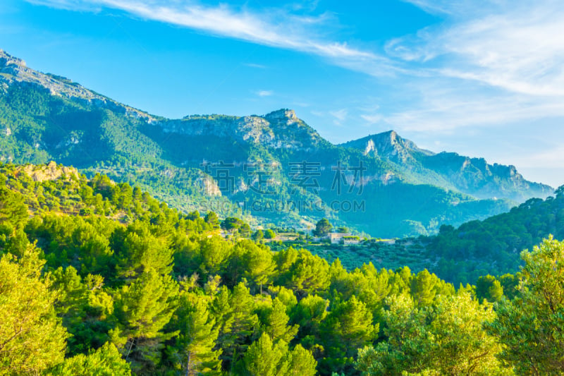 马略卡,西班牙,齿状山脊,sierra de tramuntana,面向陆地,自然界的状态,野生动物,海岸线,小路,地中海