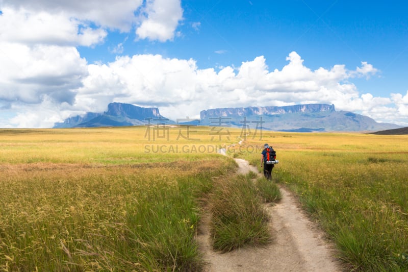 罗赖马山,平顶山区,罗赖马州,平顶山,canaima,委内瑞拉,南美,水平画幅,无人,户外