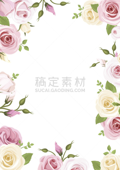 lisianthus,绘画插图,玫瑰,白色,矢量,粉色,背景,美,贺卡,留白