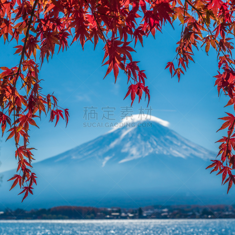 富士山,湖,枫叶,秋天,日本,河口湖,富士河口湖,天空,禅宗,无人