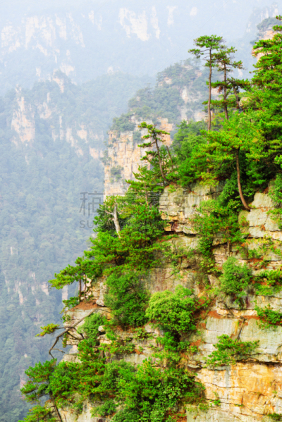 风景,岩石,在上面,绿色,垂直画幅,公园,山,旅行者,户外,武陵源风景名胜区