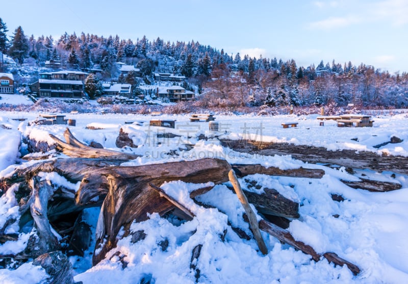 雪,诺曼底,数字7,公园,白色,美国西北太平洋地区,自然,寒冷,环境,冬天